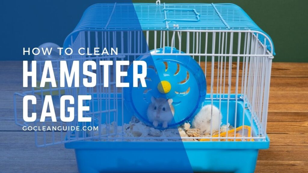 How to Clean a Hamster Cage 10 Easy Steps