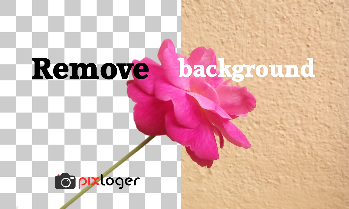 Remove Background from Image – remove.bg