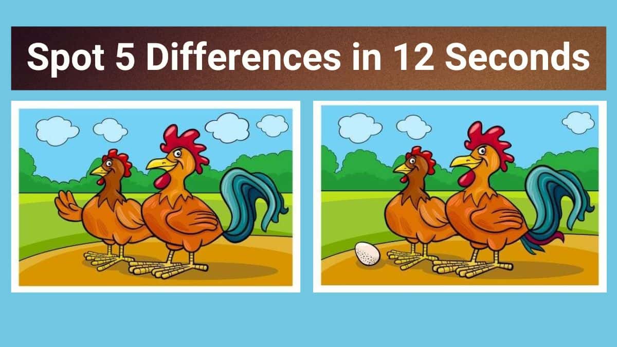 Spot The Difference: Can you spot 5 differences between the two ...