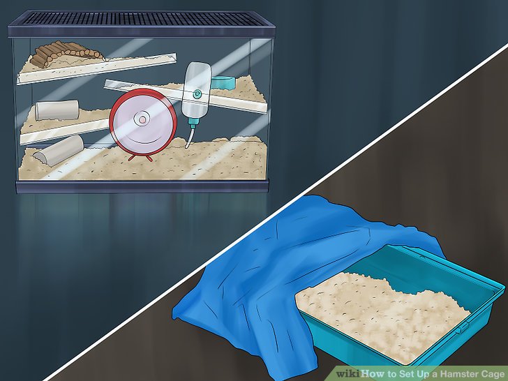 How to Set Up a Hamster Cage: 15 Steps (with Pictures) - wikiHow
