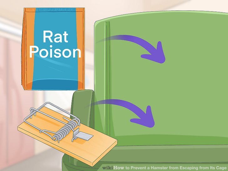 3 Ways to Prevent a Hamster from Escaping from Its Cage - wikiHow Pet