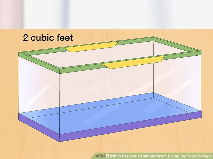 3 Ways to Prevent a Hamster from Escaping from Its Cage - wikiHow Pet