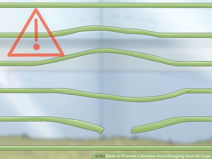 3 Ways to Prevent a Hamster from Escaping from Its Cage - wikiHow Pet