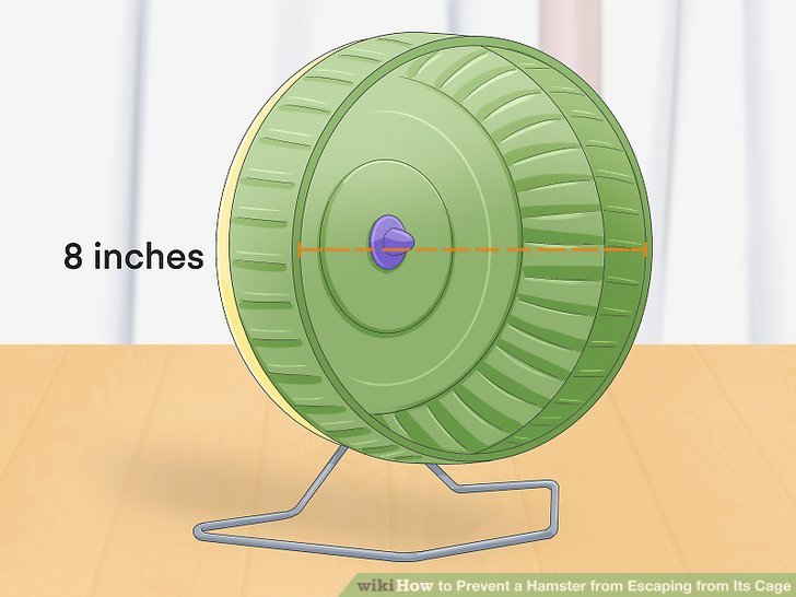 3 Ways to Prevent a Hamster from Escaping from Its Cage - wikiHow Pet