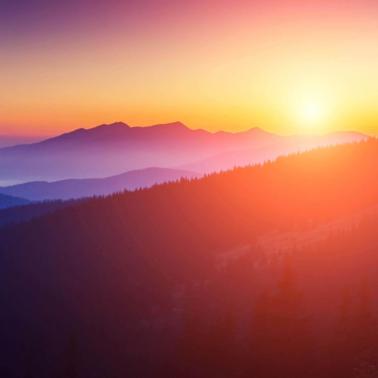 Calm - The #1 App for Meditation and Sleep