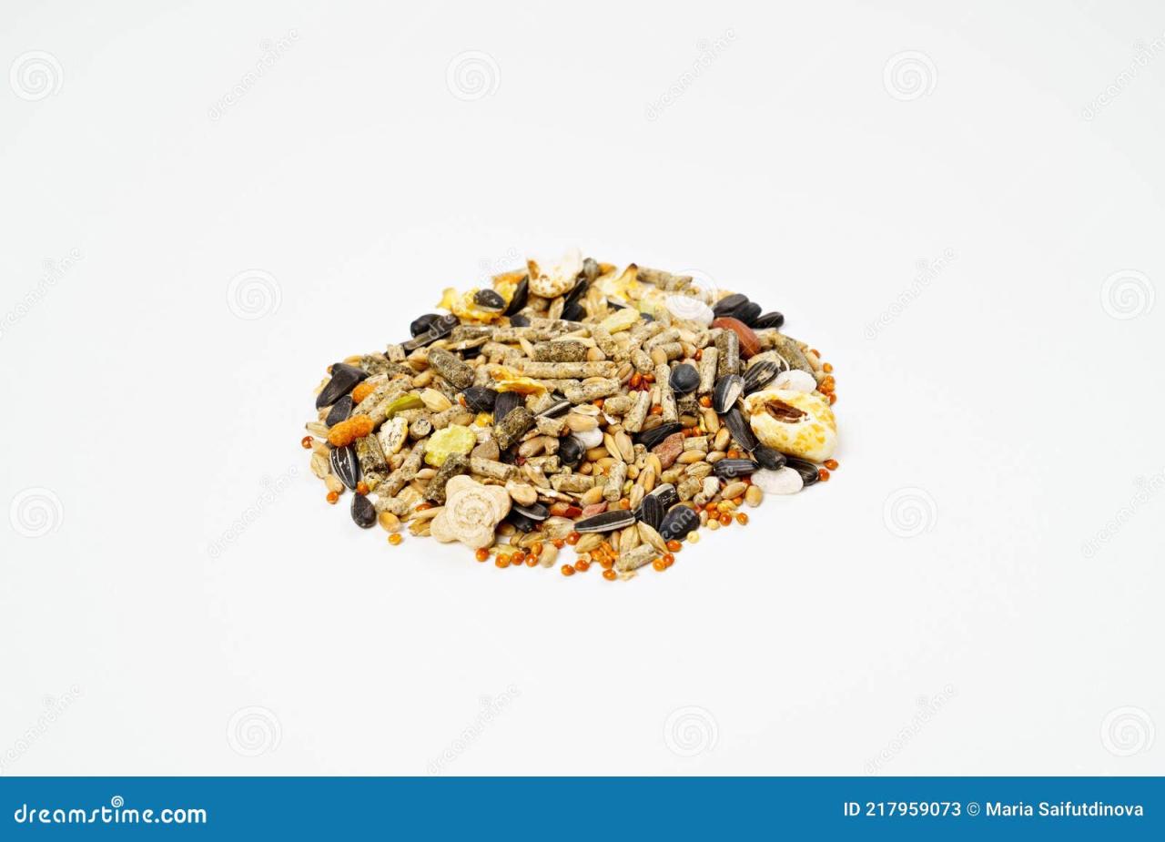 What Nuts and Seeds Can Hamster Eat? | Hamster, Hamster eating, Hamster ...