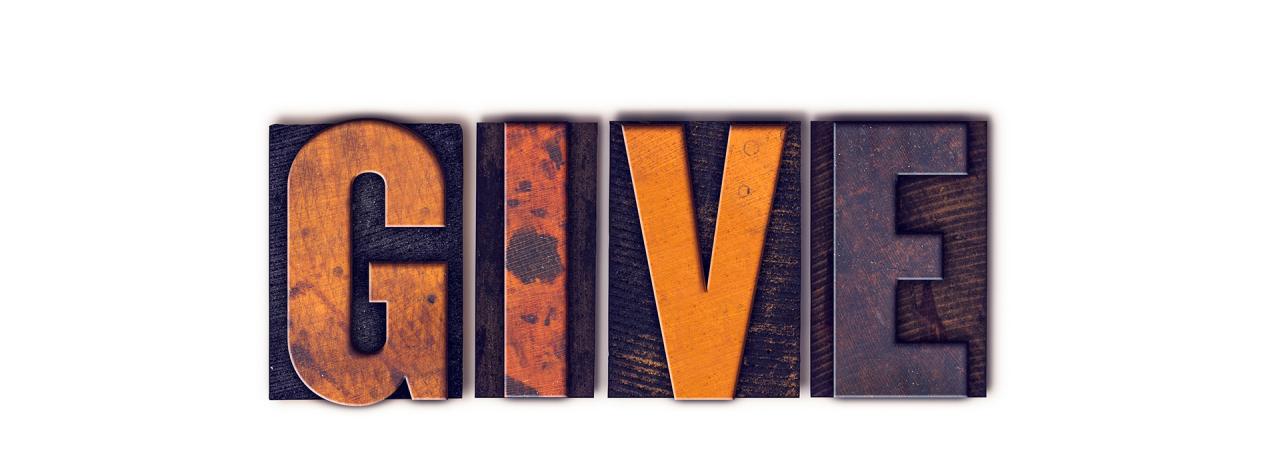 How to give hamster a happy life