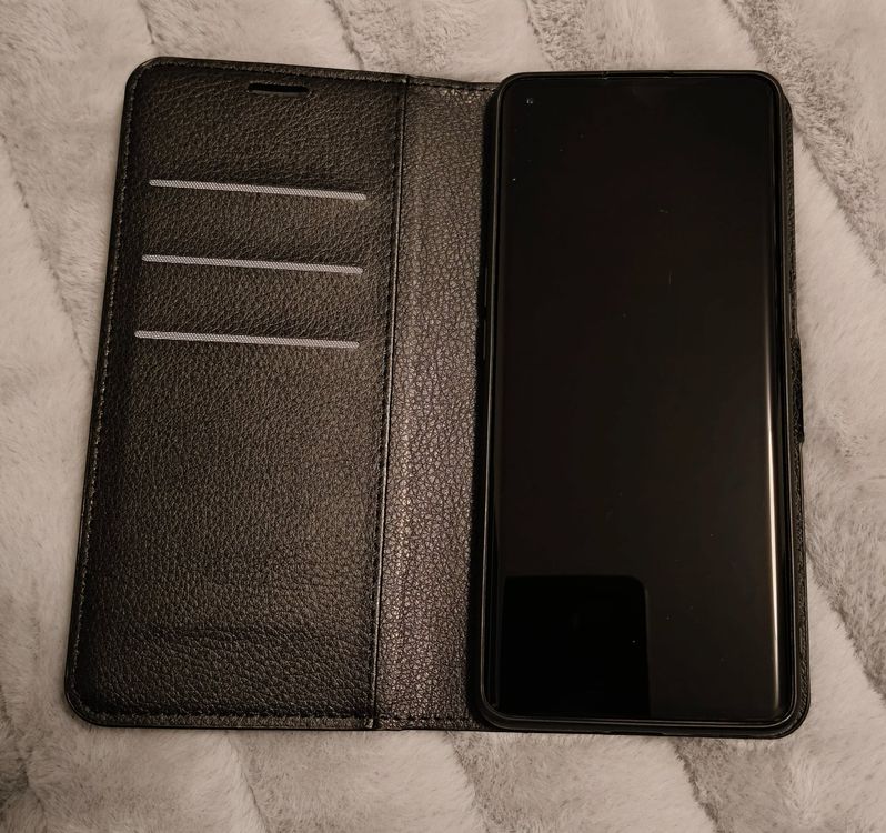 How to find hamster sitter